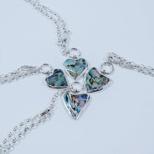 Load image into Gallery viewer, AMAS