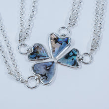 Load image into Gallery viewer, AMAS