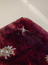 Load image into Gallery viewer, Penumbra Star