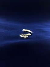 Load image into Gallery viewer, Spermula