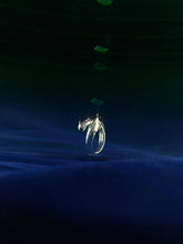 Load image into Gallery viewer, Spermula