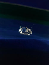 Load image into Gallery viewer, Impunity