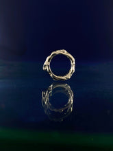 Load image into Gallery viewer, Fluvial