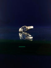 Load image into Gallery viewer, Impunity