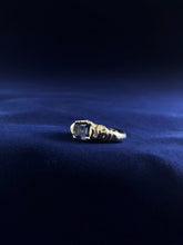 Load image into Gallery viewer, Impunity