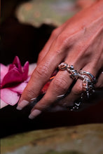 Load image into Gallery viewer, Opercula