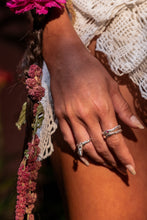 Load image into Gallery viewer, Limbo Phangus