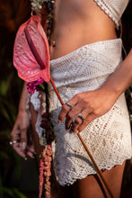 Load image into Gallery viewer, Opercula