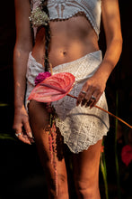 Load image into Gallery viewer, Opercula