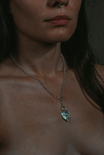 Load image into Gallery viewer, AMAS