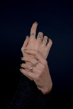 Load image into Gallery viewer, Fijii