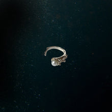 Load image into Gallery viewer, Exorior