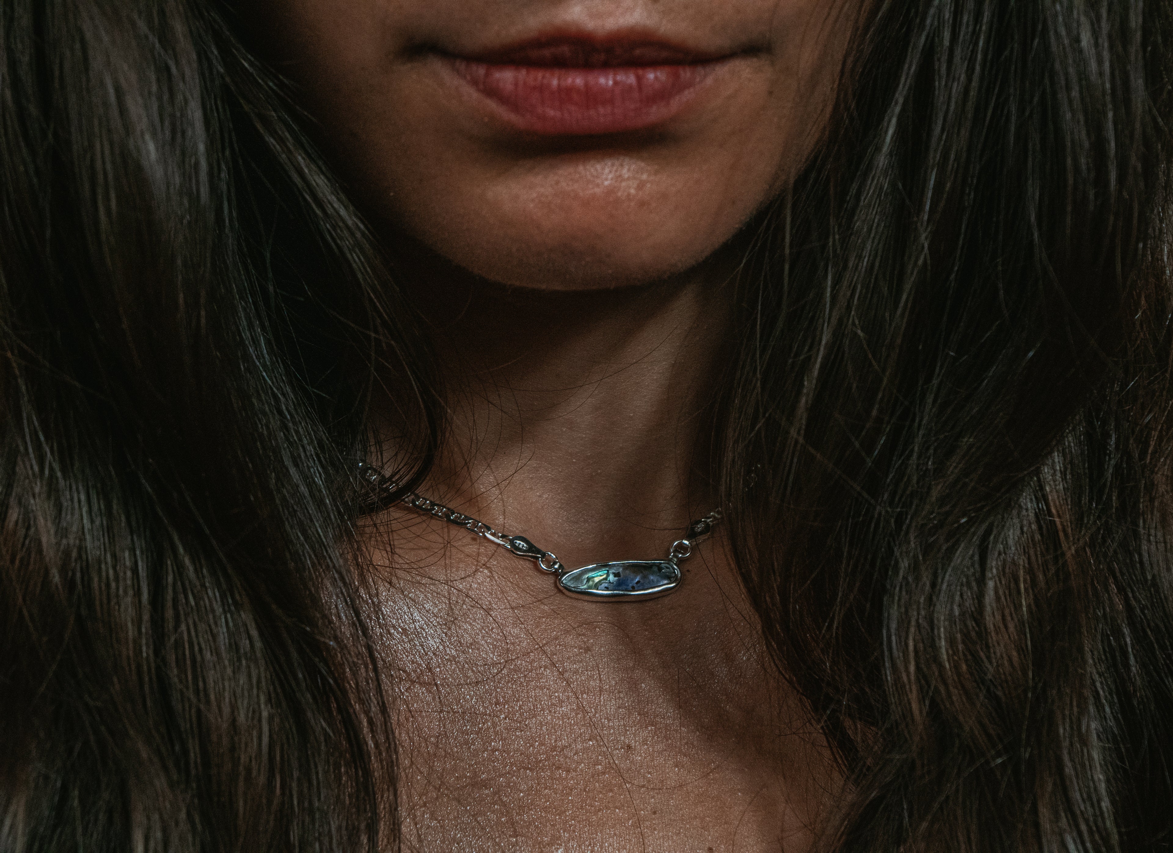 Pāua 101 Choker