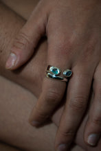 Load image into Gallery viewer, Transitus
