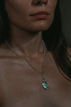 Load image into Gallery viewer, AMAS
